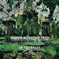 Hkon Kornstad Trio - Im Treibhaus 