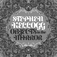 Stephen Kellogg - Objects in the mirror