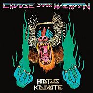 Hiatus Kaiyote - Choose your weapon