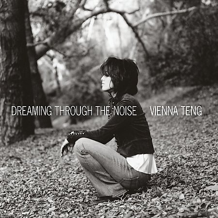 Vienna Teng - Dreaming through the noise